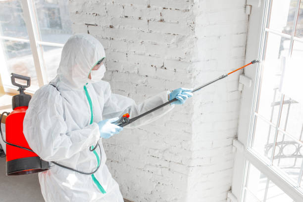 Best Mold Remediation for Healthcare Facilities  in Heppner, OR